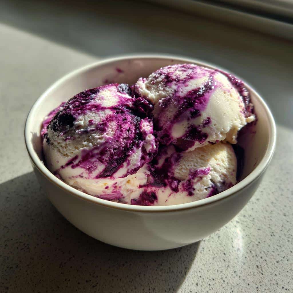 blueberry cottage cheese ice cream recipe - detail 1